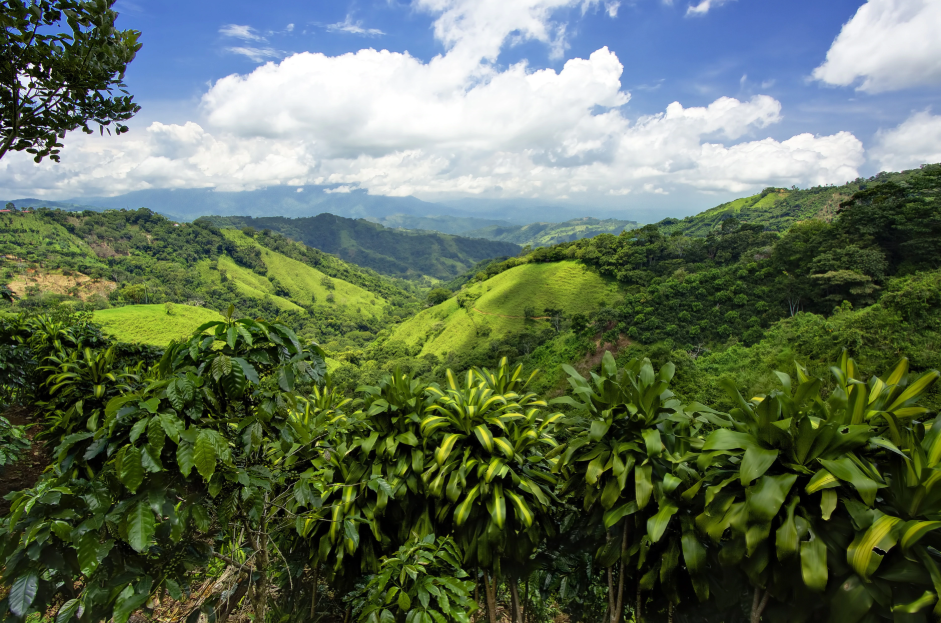 San José, San José Province, Costa Rica